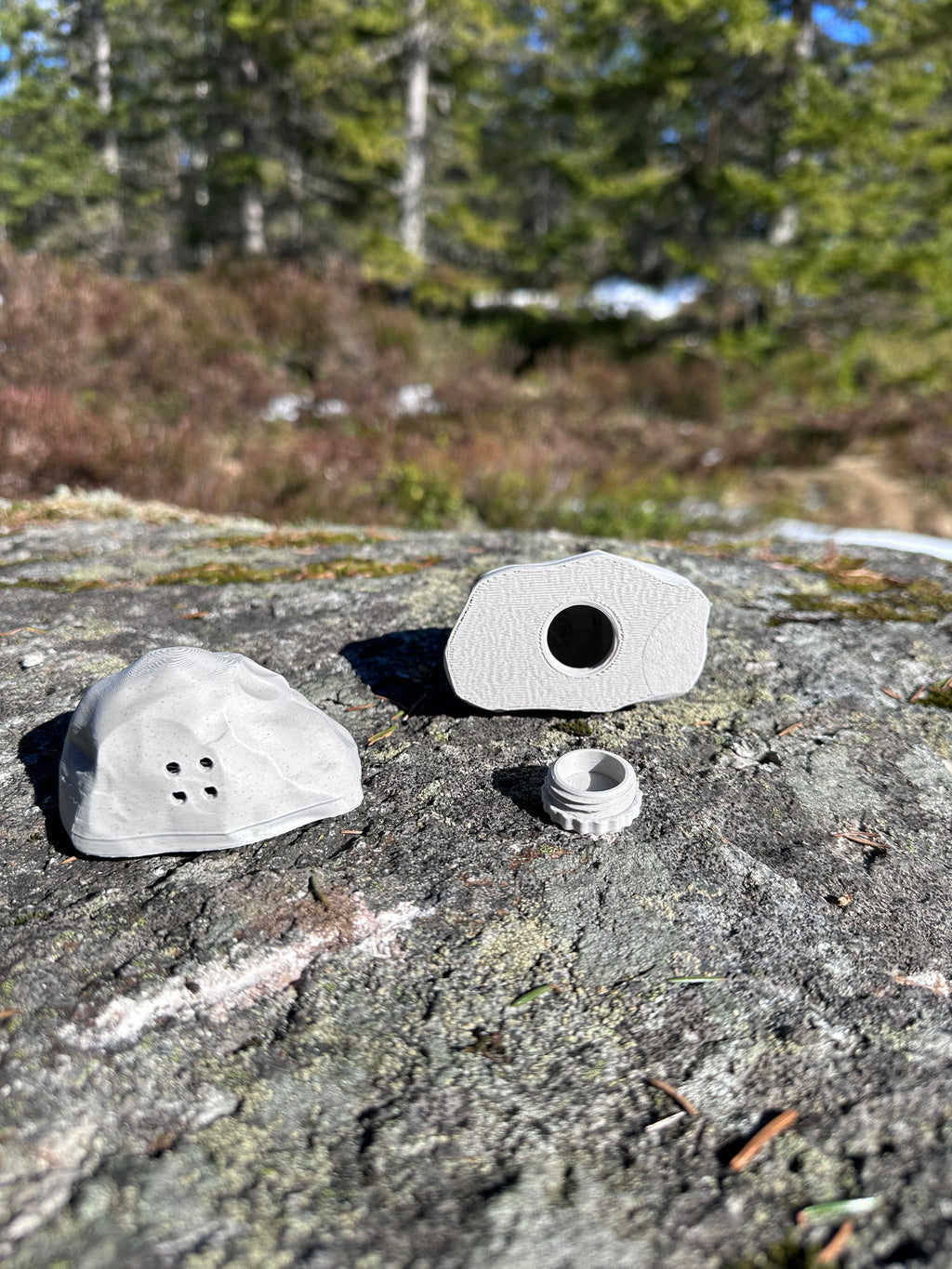 Stein for Nosework