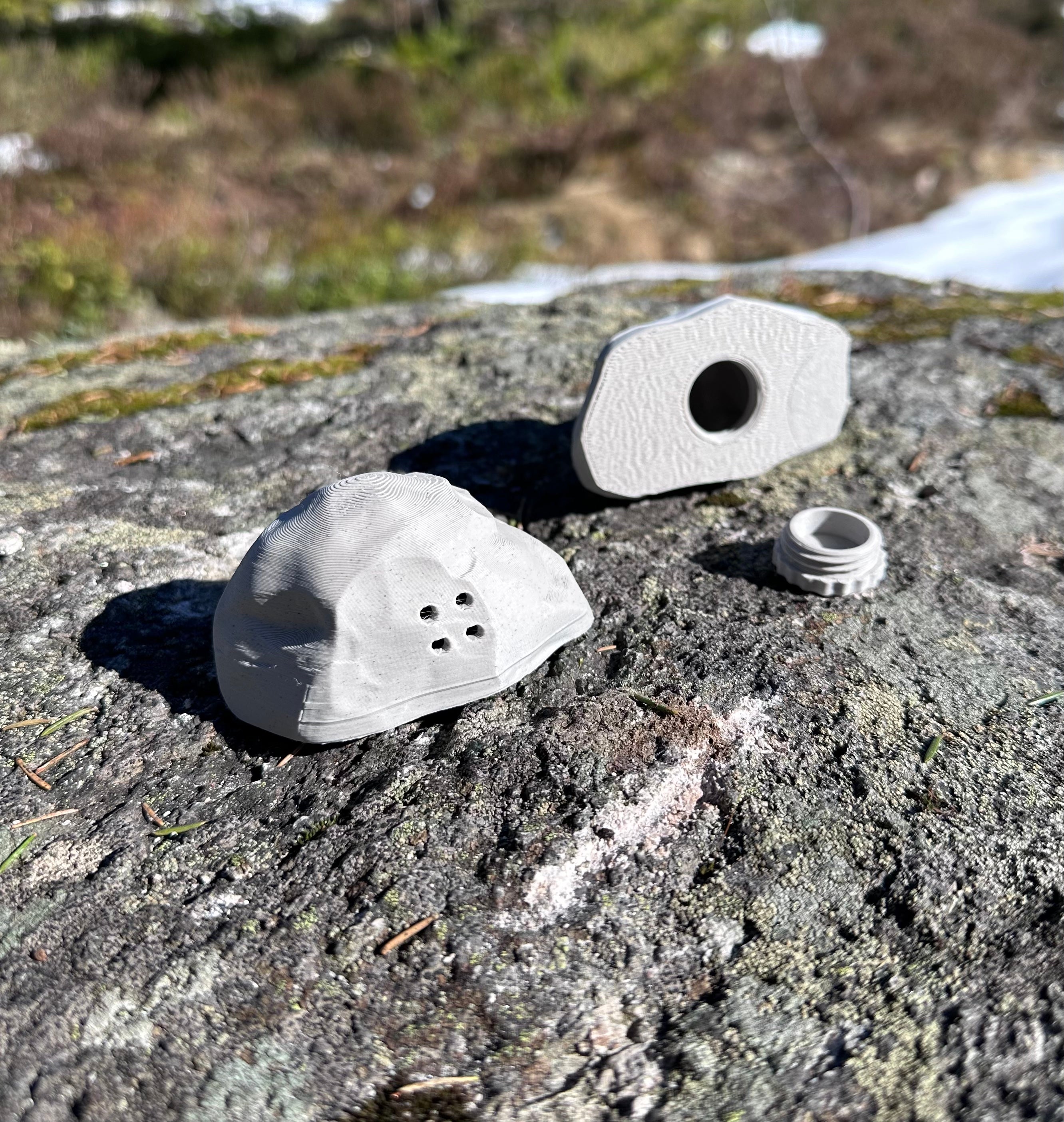 Stein for Nosework