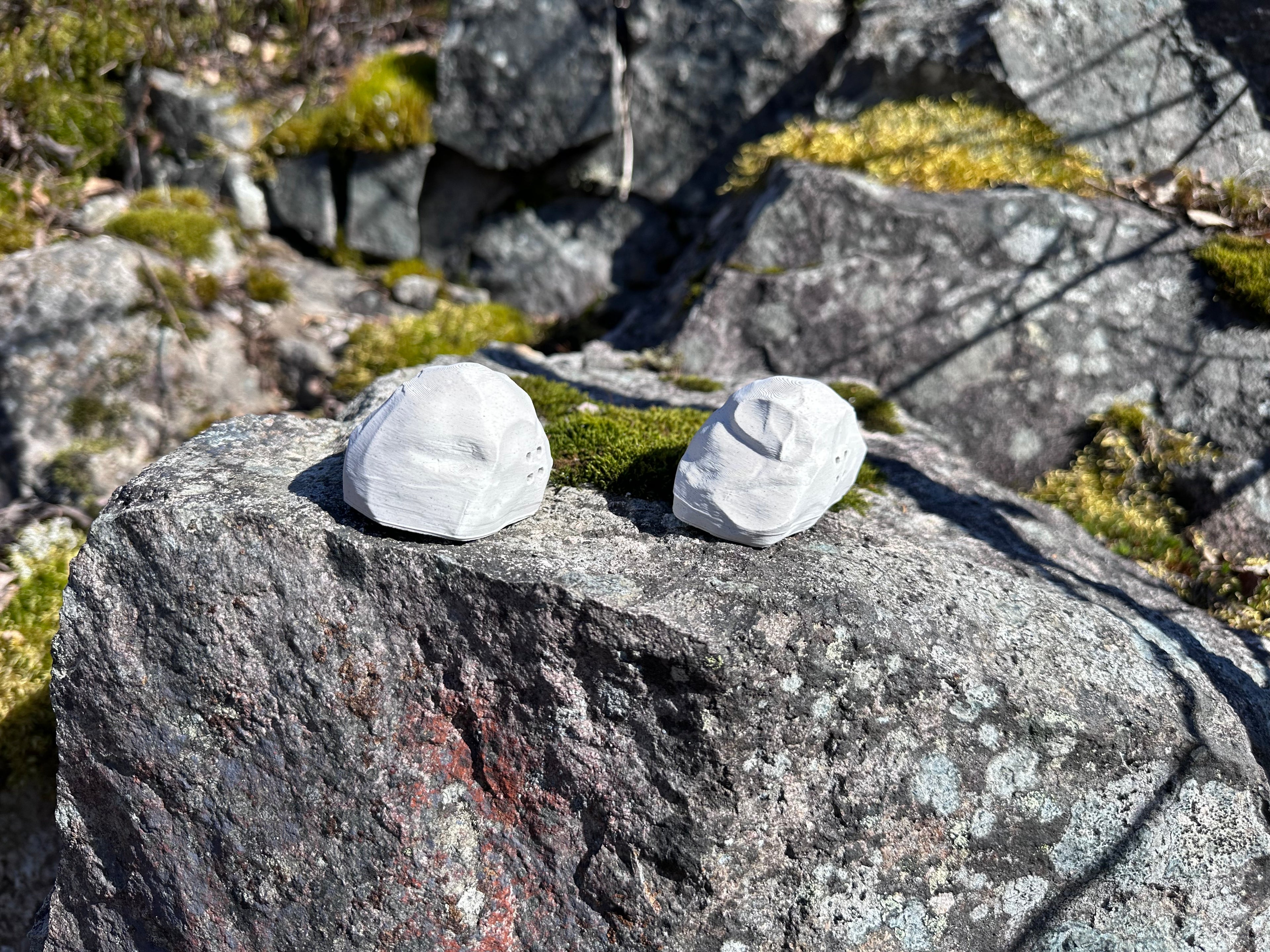 Stein og Kongle
