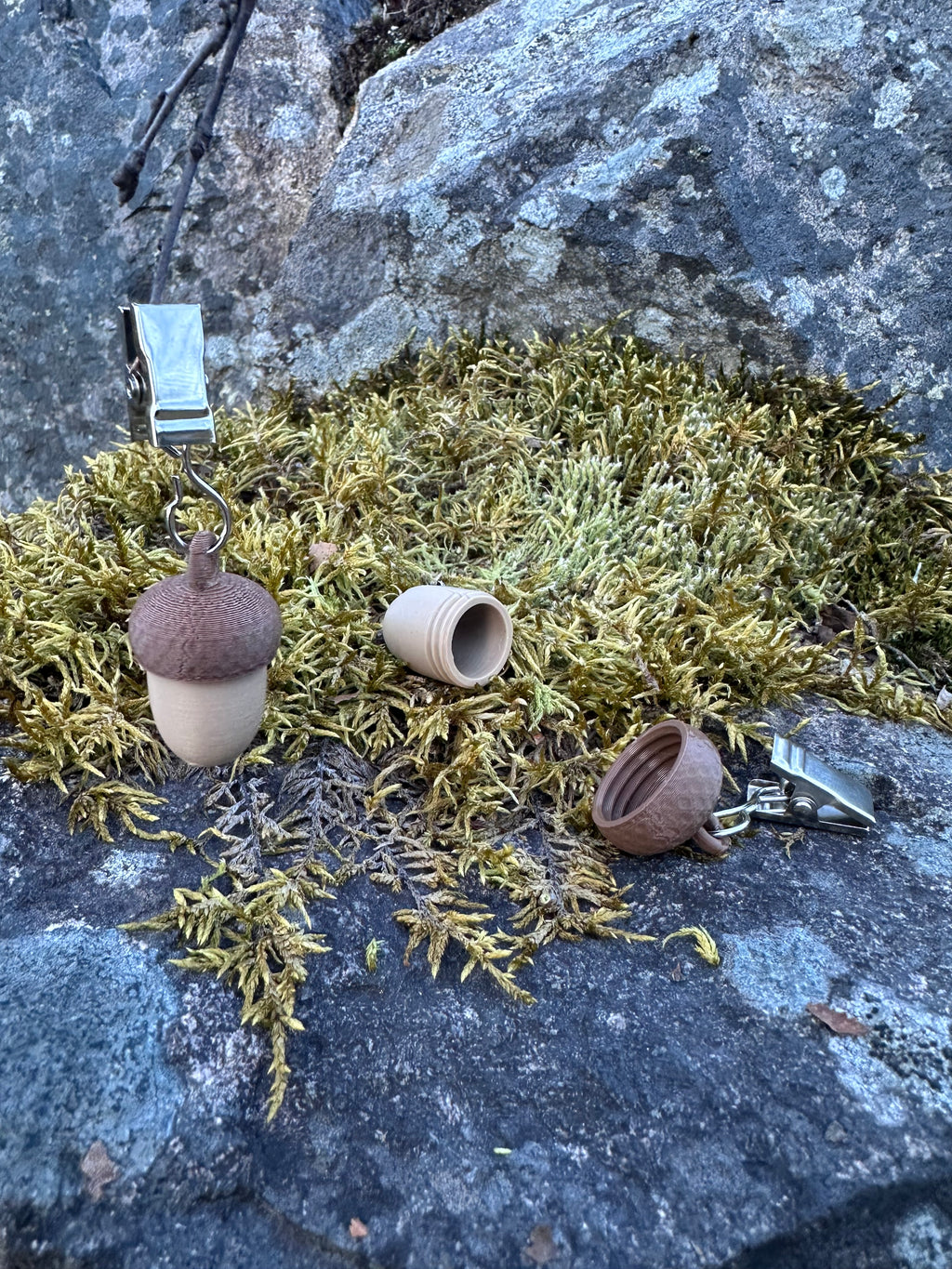 Dobbel Eikenøtt med Klips