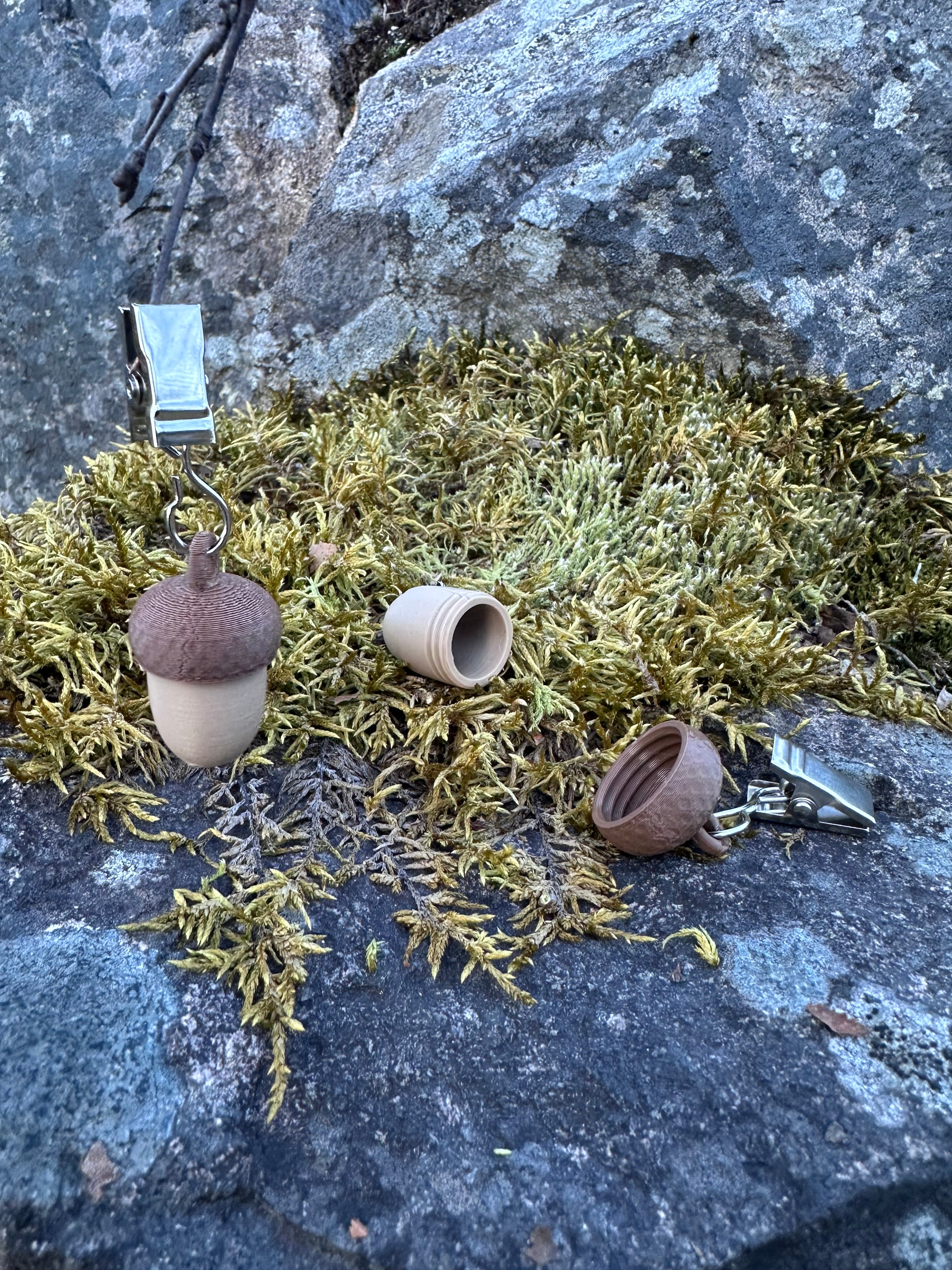 Dobbel Eikenøtt med Klips